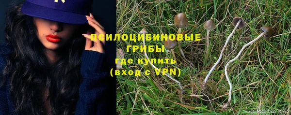 стаф Алзамай