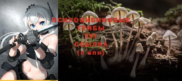 амф Переславль-Залесский