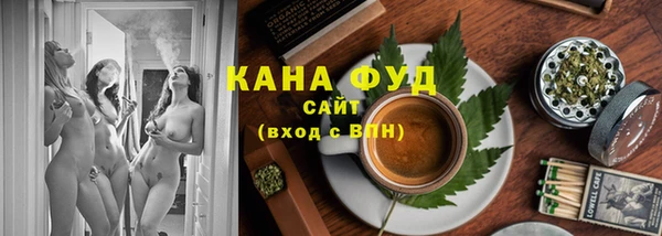 стаф Алзамай