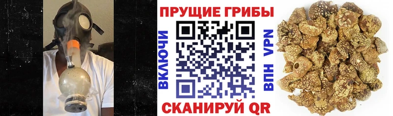 mega ссылка  Данков  Псилоцибиновые грибы прущие грибы  наркота 